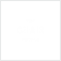 The Chair People
